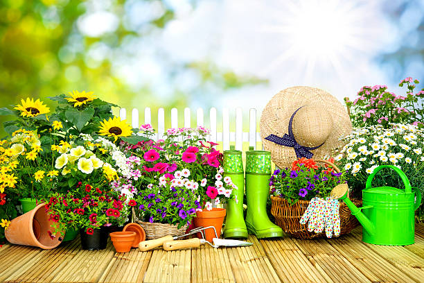 attrezzi da giardinaggio e fiori sulla terrazza i - gardening shovel trowel flower foto e immagini stock