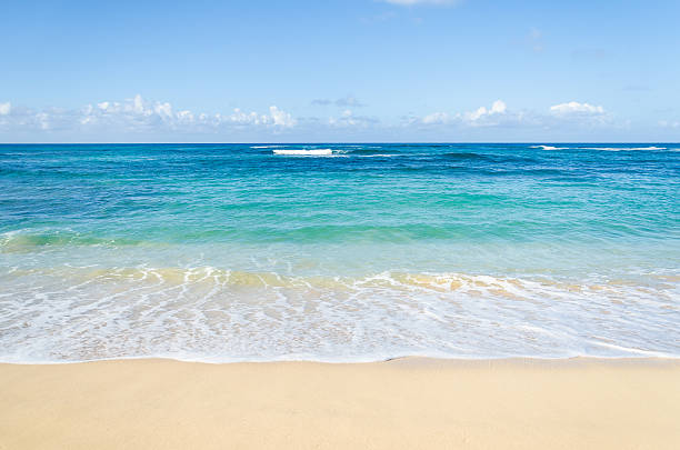 istock Ocean and tropical sandy beach background 541147530