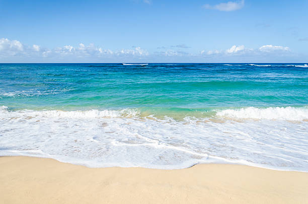 istock Ocean and tropical sandy beach background 541147946