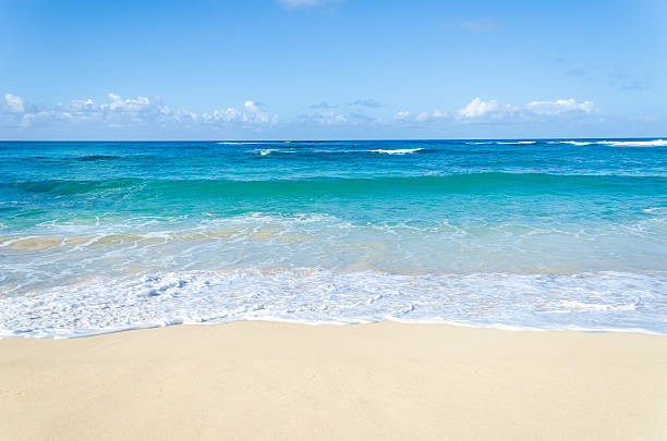 istock Ocean and tropical sandy beach background 541148494