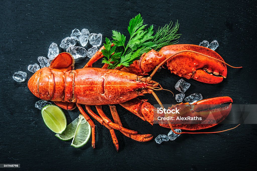 Oprigtighed Min Appel til at være attraktiv Top View Of Whole Red Lobster With Ice And Lime Stock Photo - Download  Image Now - Lobster - Animal, Plate, Crab - iStock