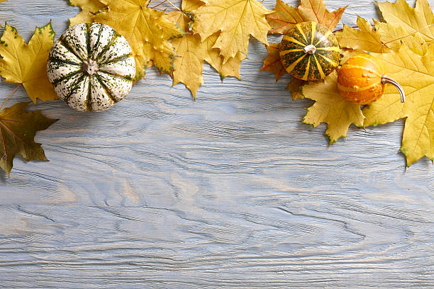 istock Autumn background with pumpkins and leaves 541149790