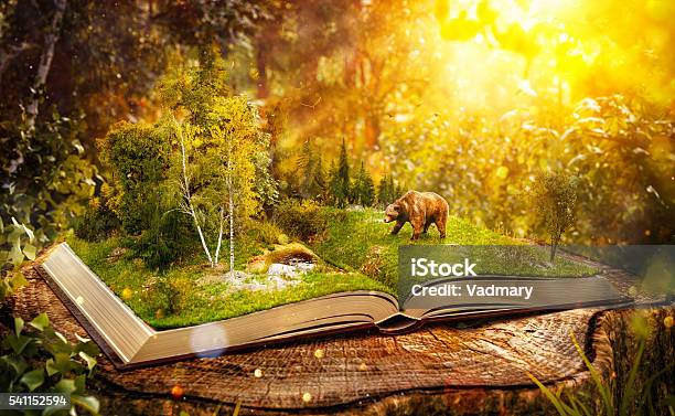 Abrió El Libro Foto de stock y más banco de imágenes de Libro - Libro, Bosque, Fantasía