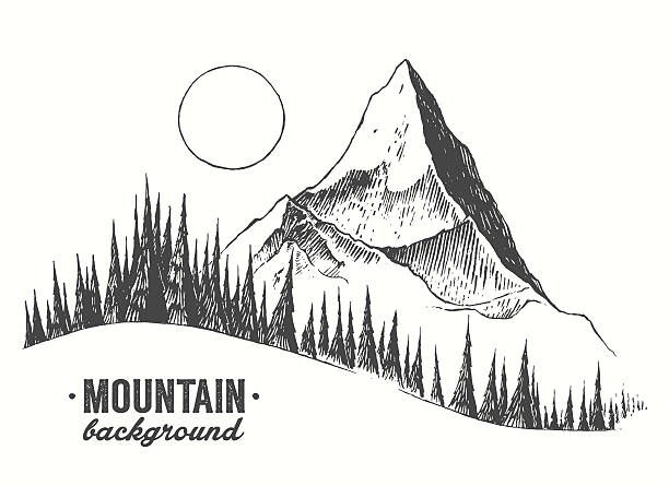 Fir forest mountain drawn vector illustration Fir forest background with contours of the mountains hand drawn vector illustration hiking drawings stock illustrations