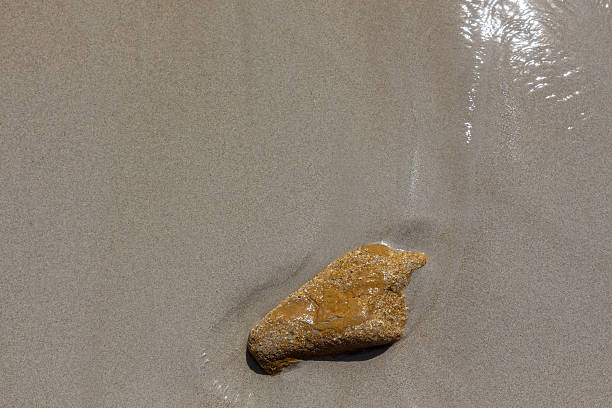 istock The sand under the water. A lone Golden stone. 541153652
