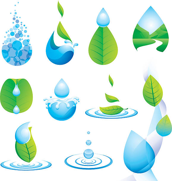 illustrazioni stock, clip art, cartoni animati e icone di tendenza di gocciolina e acqua - water drop leaf spring