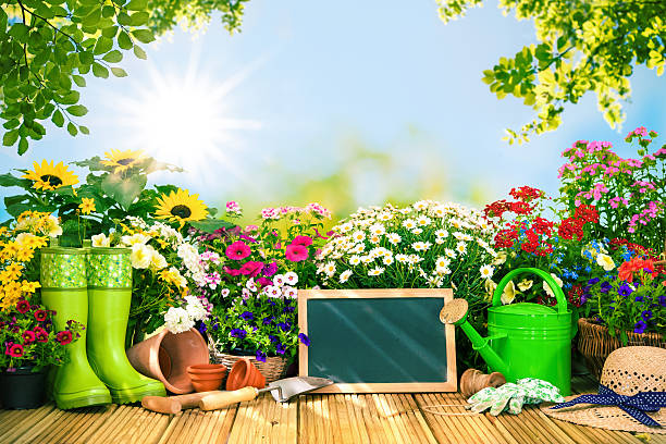 istock Gardening tools and flowers on the terrace i 541155832