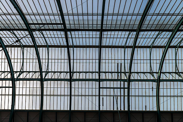 istock Low angle view of Modern glass and steel roof 541155880