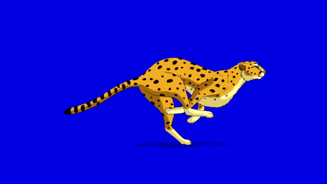 Cartoon Cheetahs Stock Videos and Royalty-Free Footage - iStock
