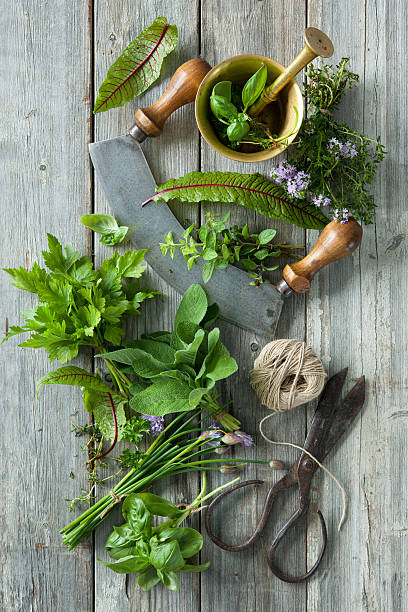 istock fresh herbs and spices on wooden table 541267054