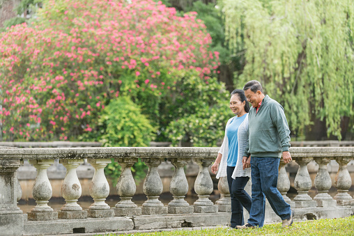 A senior Asian couple wearing casual clothing, walking in the park holding hands.