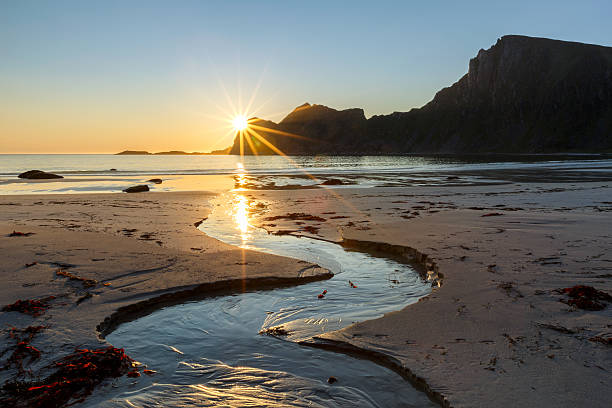 istock Sunset on the sandy beach with the creek on the foreground 541269058