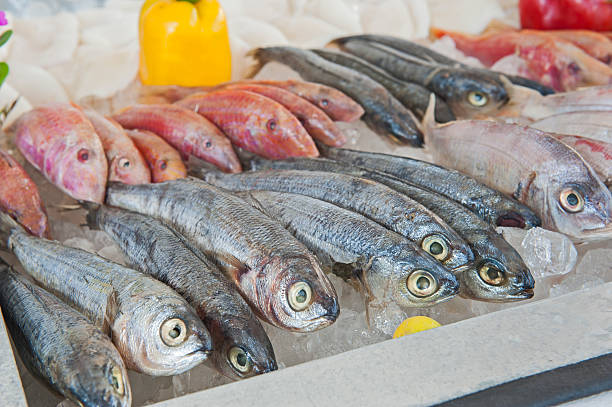 istock Collection of mullet fish on display in seafood restaurant 541270728