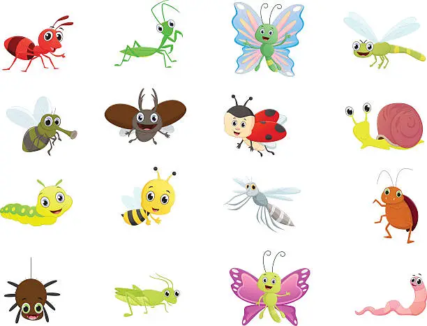 Vector illustration of Insect cartoon collection