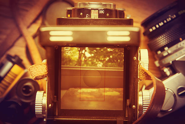 istock Viewfinder of a retro twin-lens camera showing a tree. 541274418