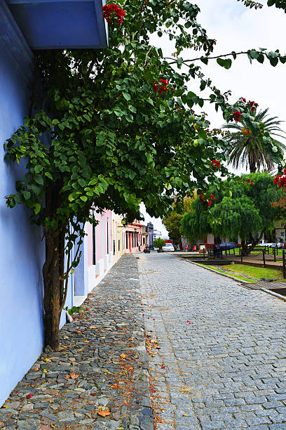 istock Cobblestone street in Colonia, Uruguay 541275888