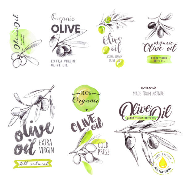 ilustrações, clipart, desenhos animados e ícones de conjunto de desenhado à mão em aquarela azeite de oliva, e as placas de rótulos - olive green illustration and painting backgrounds watercolor painting