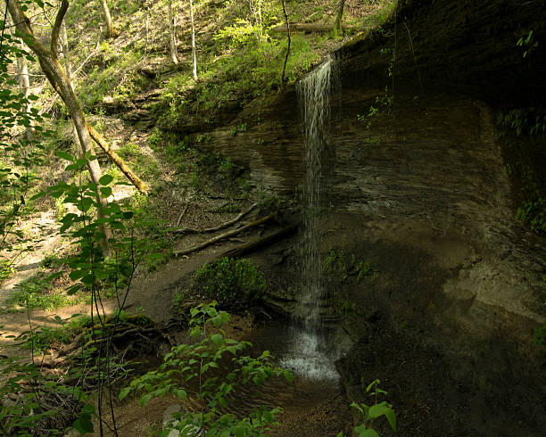 холлоу-фолс - tennessee waterfall stream forest стоковые фото и изображения