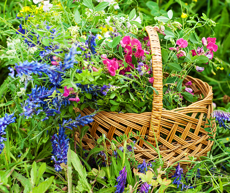 basket with summer wildflowers in the meadow