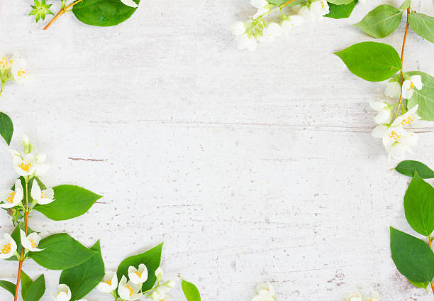 istock Jasmine flowers on wooden table 541283806