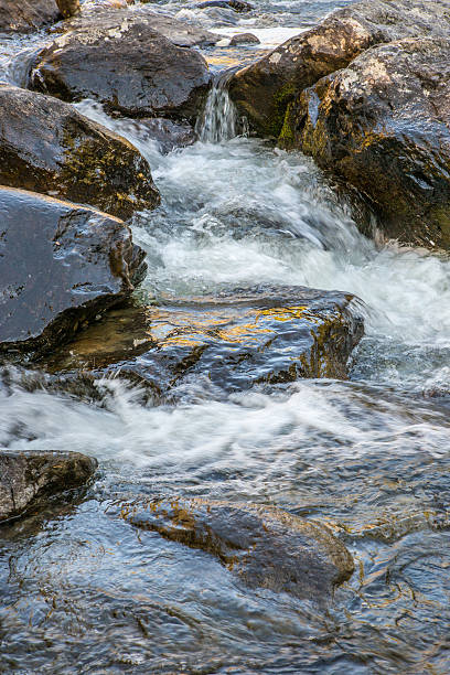 istock Rapid flow of the Chulcha river near Uchar waterfall 541283964