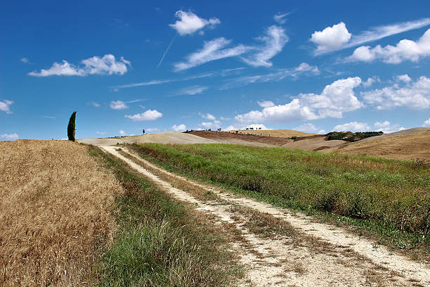 istock Landscape - Country road through wheat field with blue Sky 541285546