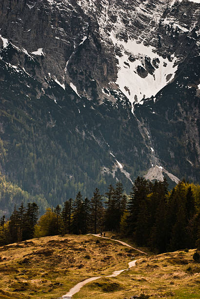 Two hikers wandering along a hiking path beside coniferous trees at Hoher Kranzberg in Karwendel mountain range. Bavaria, Germany. May 2016