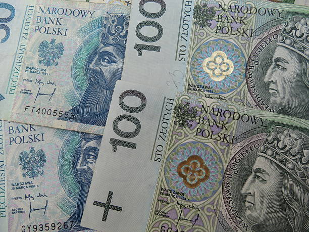 istock Polish zloty banknotes and coins 541290744