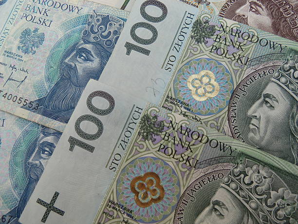 istock Polish zloty banknotes and coins 541290762