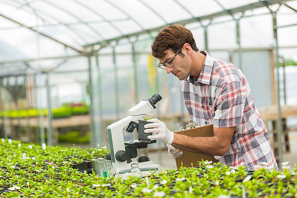 istock Handsome young biologist working in the lab 541290850
