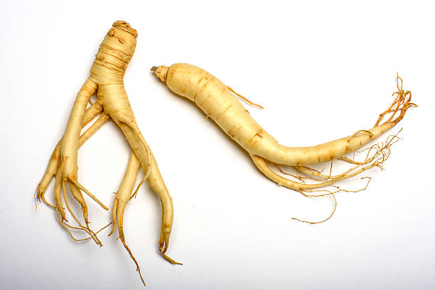 ginseng raíz - ginseng isolated root herbal medicine fotografías e imágenes de stock