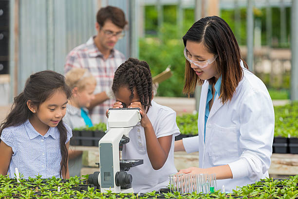 rapariga afro-americana olhar para microscópio com biólogo - teaching field trip classroom child imagens e fotografias de stock