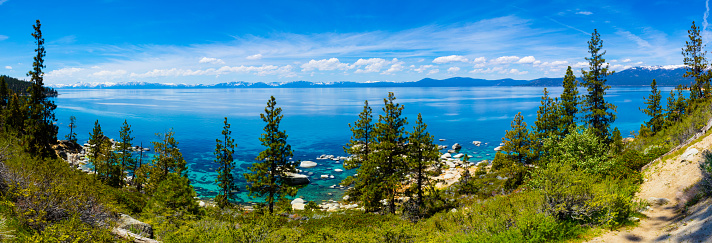 Lake Tahoe Bonsai Rock
