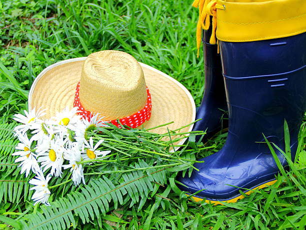 Plastic boots, straw hat and daisies flowers on green background.  