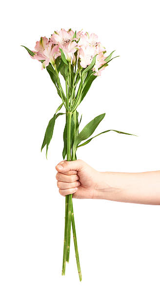 istock Hand holding bouquet of alstroemerias 541295954