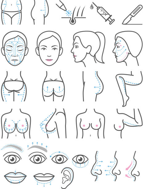 ilustrações de stock, clip art, desenhos animados e ícones de ícones de cosméticos cirurgia plástica. - women human face sensuality human eye