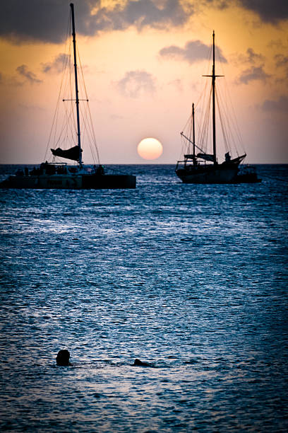 istock Swimming with the boats 541298284