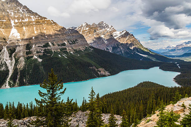 istock Bow Summit and Peyto Lake VII 541298716