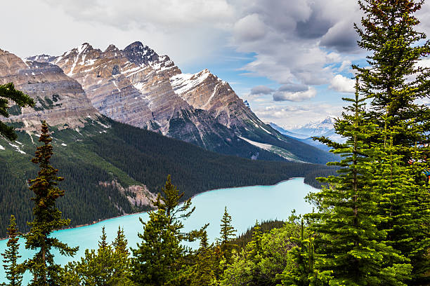 istock Bow Summit and Peyto Lake VIII 541298782