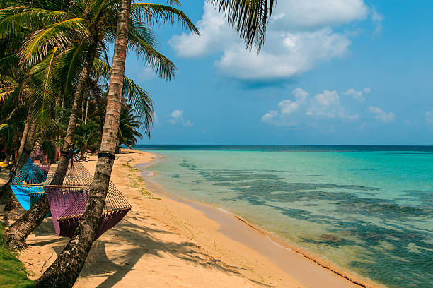 tropical beach with hammock on palm, relax concept from Nicaragua stock photo