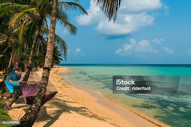 Tropical Beach With Hammock On Palm Relax Concept From Nicaragua Stock Photo - Download Image Now