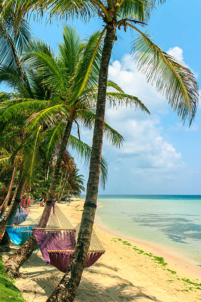 istock tropical beach with hammock on palm, relax concept from Nicaragua 541300200