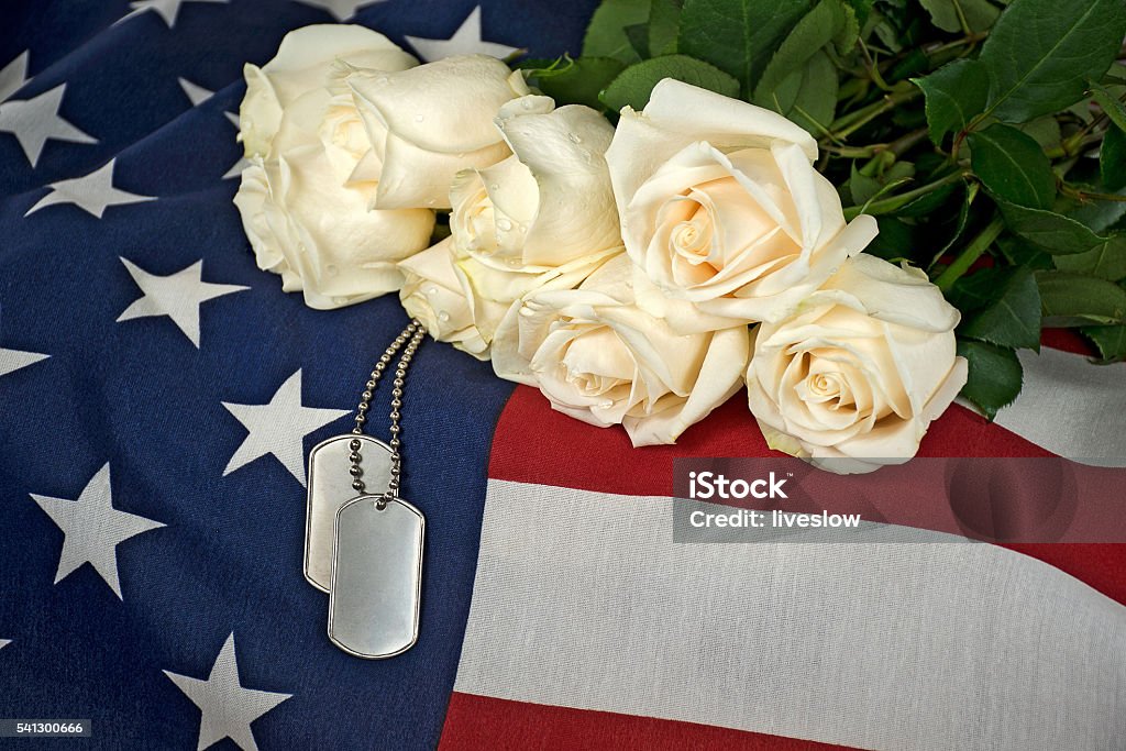 white rose bouquet military dog tags on flag Military dog tags and white rose bouquet on American flag. Coffin Stock Photo
