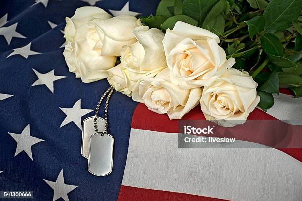 White Rose Bouquet Military Dog Tags On Flag Stock Photo - Download Image Now - Coffin, American Flag, Flag