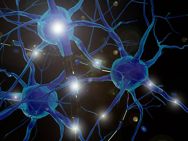 뉴런-신경 네트워크에한필요 - nerve cell synapse communication human spine 뉴스 사진 이미지