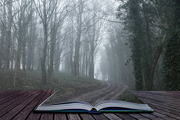 Moody dramatic foggy forest landscape Spring Autumn Fall