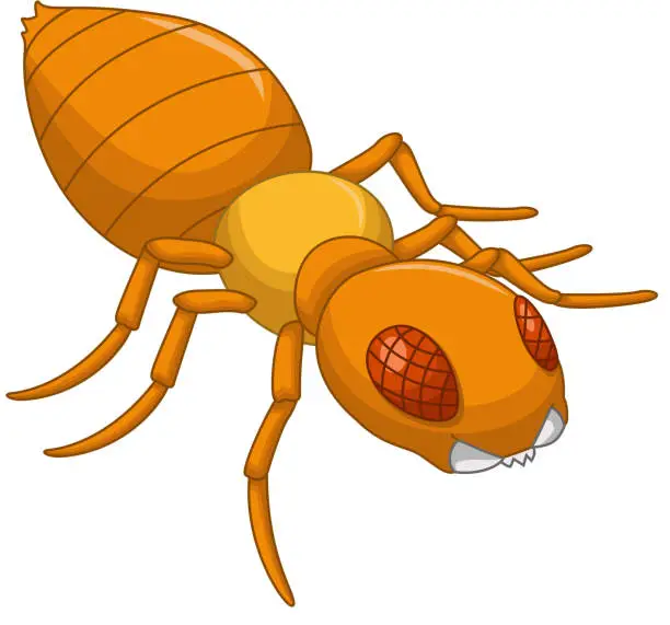 Vector illustration of Termite cartoon for you design