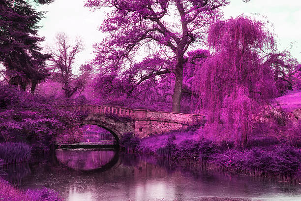 istock Stunning infrared landscape image of old bridge over river 541302358