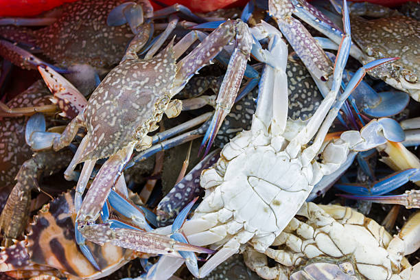 istock crabs in a red basket for buyer 541303422