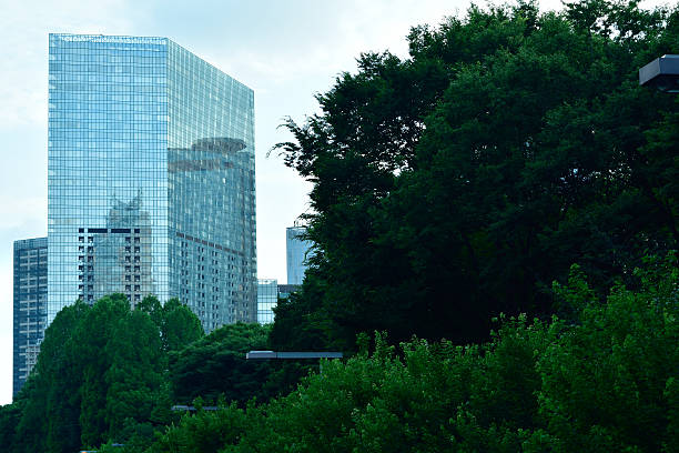 istock Shinjyuku Parkside1 541303816